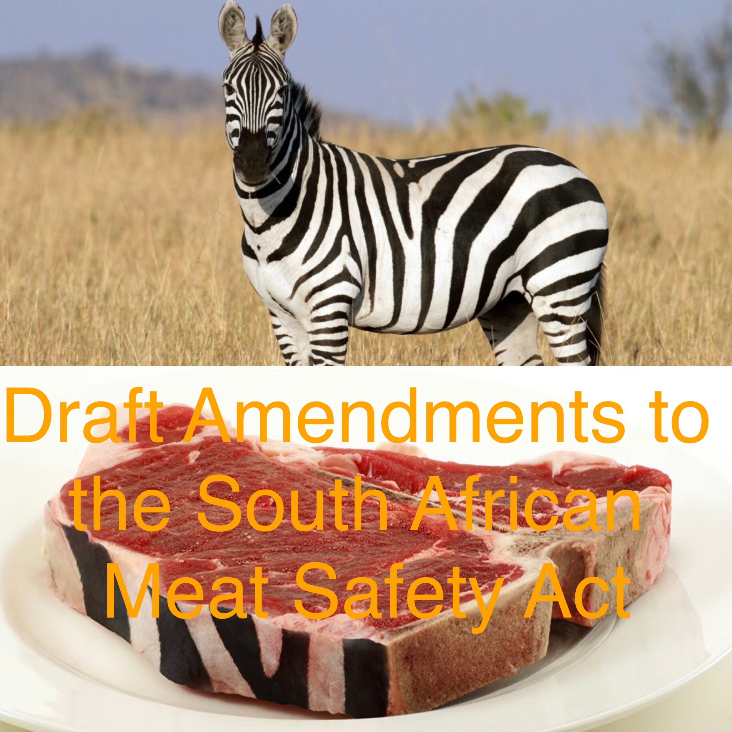COMMENT - DRAFT AMENDMENTS TO SOUTH AFRICAN MEAT SAFETY ACT - EMS ...